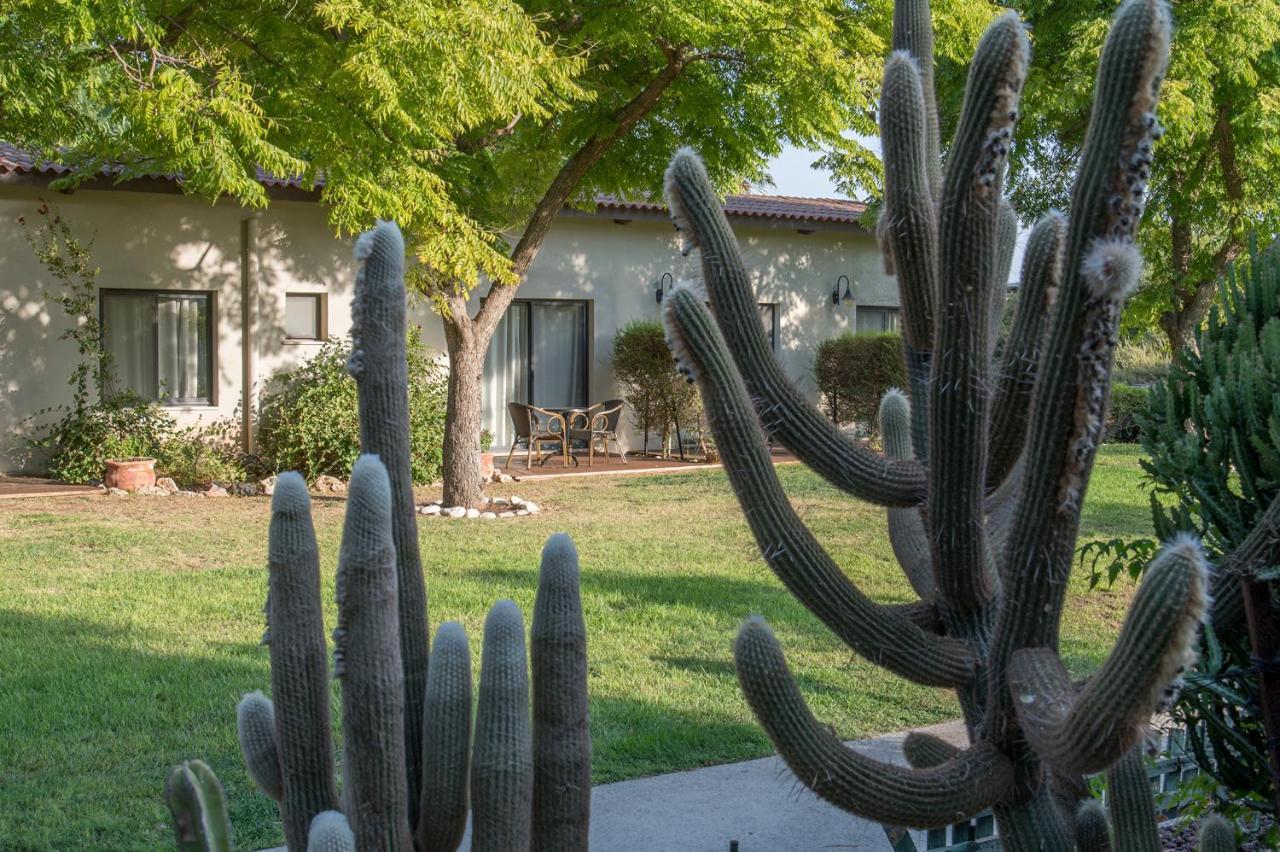 Degania Bet Kibbutz Country Lodging Hotell Kinneret Exteriör bild